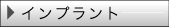 �C���v�����g